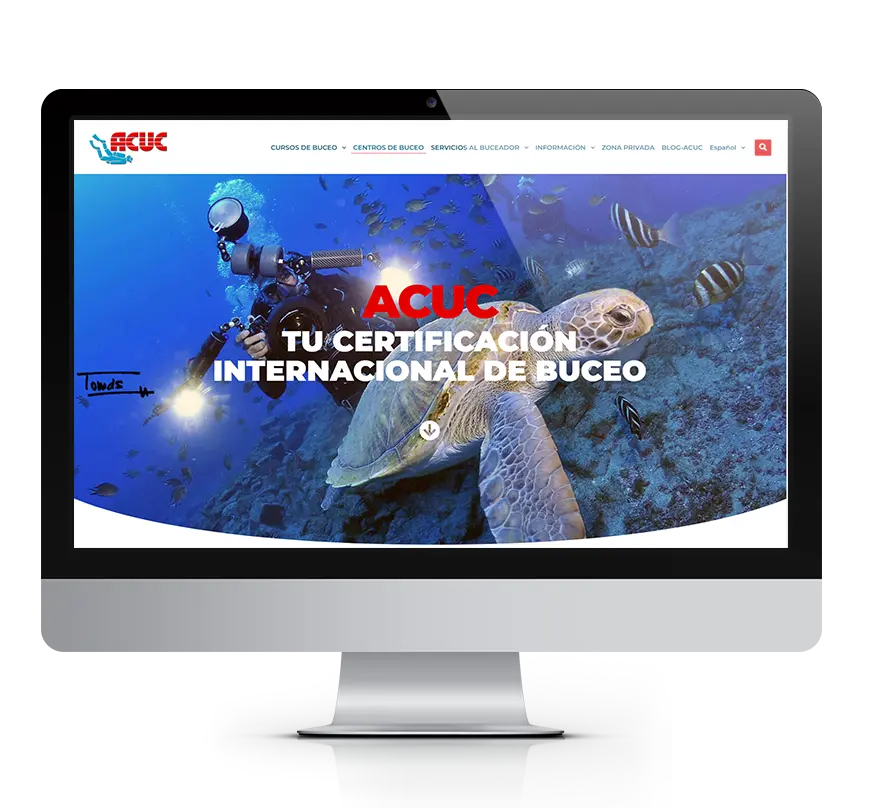 Acuc internacional asociacion destacada MSalaskreacion web